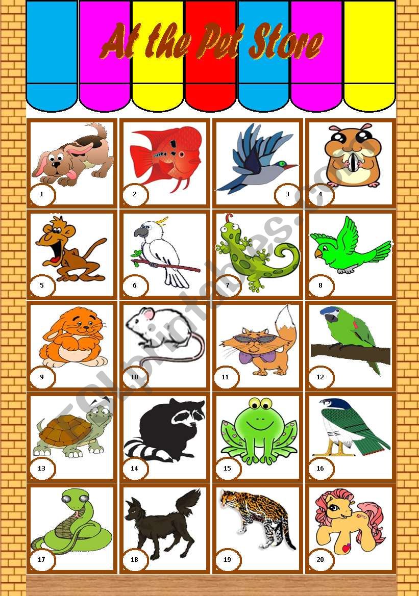 At the Pet Store  vocabulary and writing [3 tasks] KEYS INCLUDED ((3 pages)) ***editable